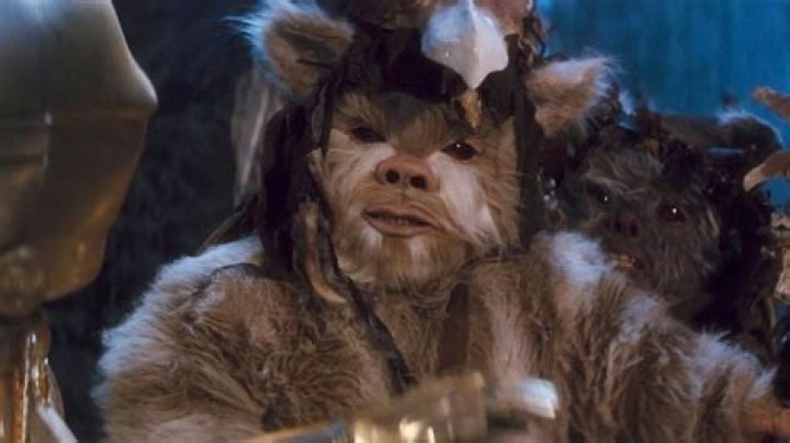 A Logray Ewok has its arm in front of it.