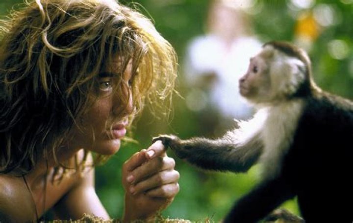 Does Crystal the monkey get paid?