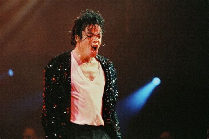 Where did Michael Jackson go to high school? 1 mj