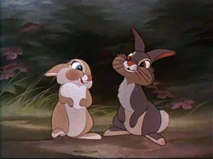 What does Thumper call love?